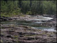 Bifogad bild: norge2010augusti797.jpg